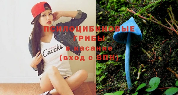 таблы Семёнов